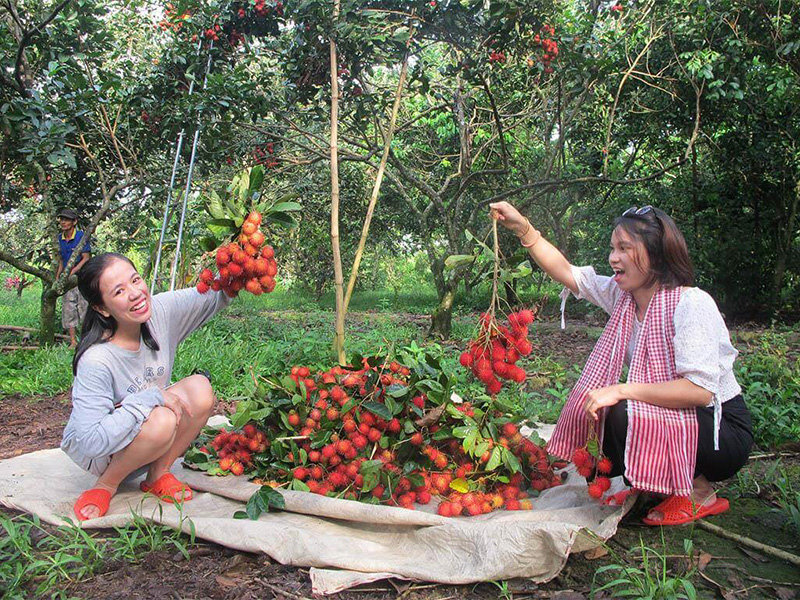 Trái cây miền Tây